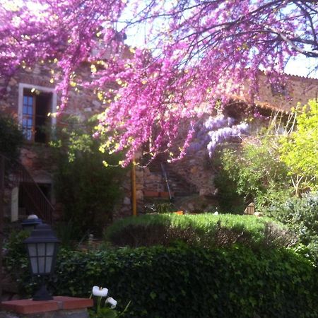 La Figuera Bed and Breakfast Camélas Εξωτερικό φωτογραφία