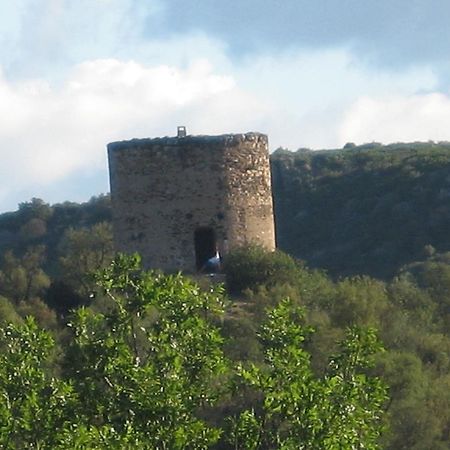 La Figuera Bed and Breakfast Camélas Εξωτερικό φωτογραφία