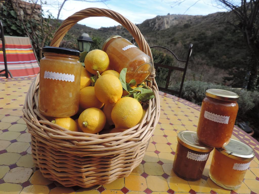 La Figuera Bed and Breakfast Camélas Εξωτερικό φωτογραφία