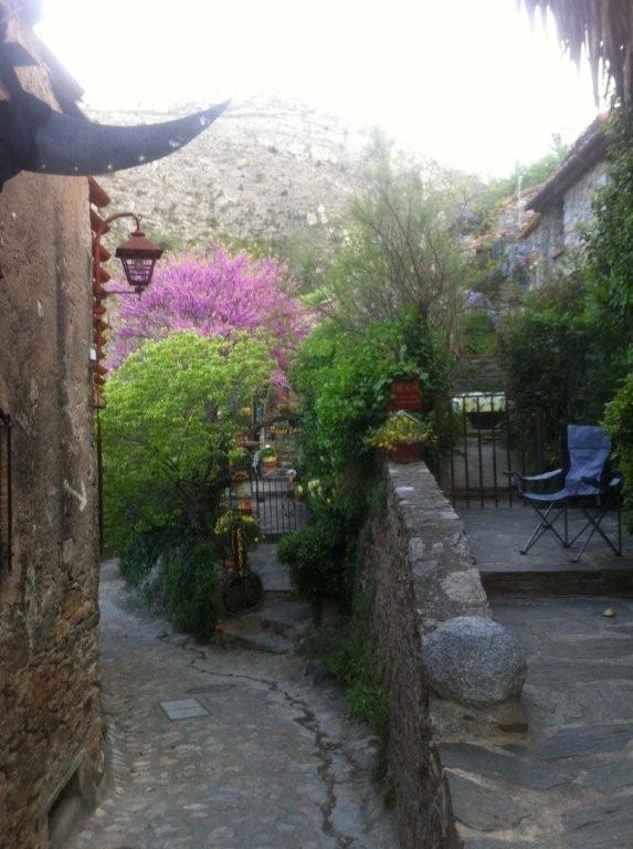 La Figuera Bed and Breakfast Camélas Εξωτερικό φωτογραφία