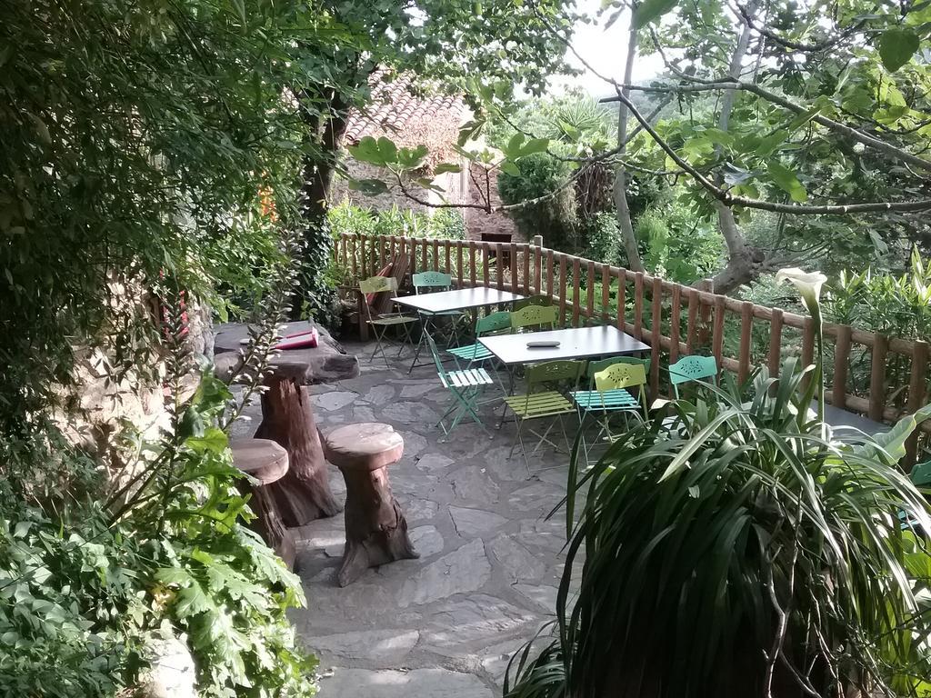La Figuera Bed and Breakfast Camélas Εξωτερικό φωτογραφία
